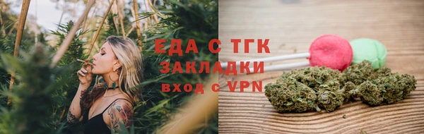 стаф Корсаков