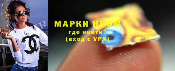 дурь Краснослободск