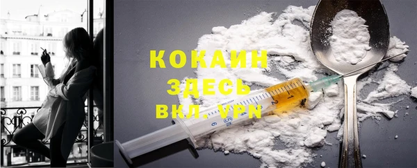 дурь Краснослободск