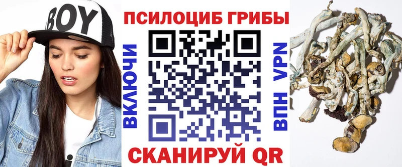 Галлюциногенные грибы мухоморы  Тутаев 