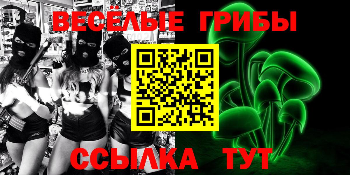 Галлюциногенные грибы Magic Shrooms  купить наркоту  Тутаев  Псилоцибиновые грибы GOLDEN TEACHER  Вход с VPN 